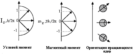 угловой и магнитный моменты