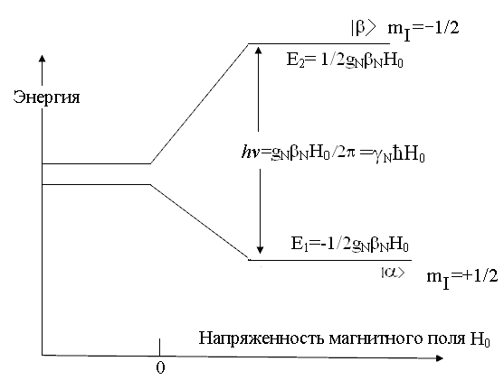 протон в магнитном поле